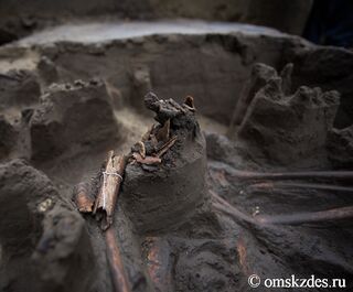 Археологи приступили к раскопкам нетипичного кургана в Омской области