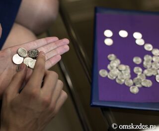 Омичи сдали в банки почти полмиллиона накопленных дома монет