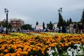 Как отметить День города - 2024: программа мероприятий в Омске