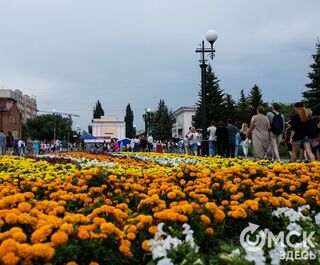Как отметить День города - 2024: программа мероприятий в Омске