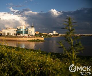 В Омске прошёл самый масштабный 