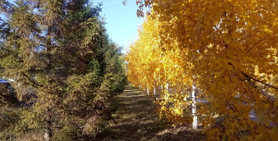 После "сложной погоды" в Омске потеплеет