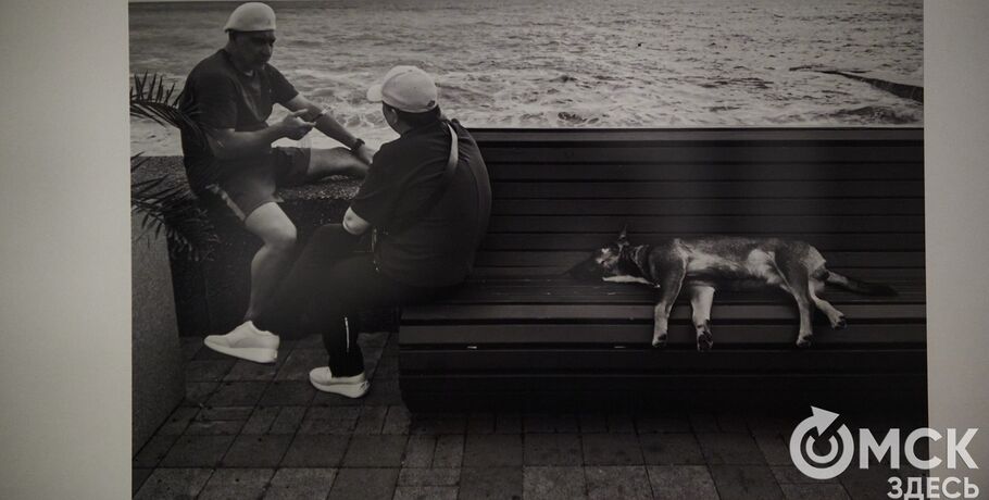 Поэзия улиц в чёрно-белом: история фотографа, который "редко нажимает на кнопку"