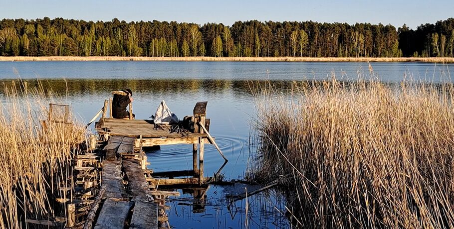 Курганский лес как декорация: кинорежиссёр из Омска создаёт фильм о единении человека и природы