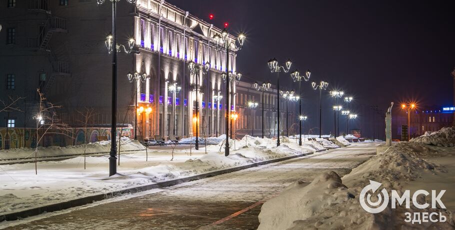 Слепок ладони и чучело любимой собачки Петра I. Какими будут Дни Эрмитажа в Омске