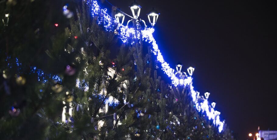 Омск к Новому году украсят "Льдинками" и силуэтами животных