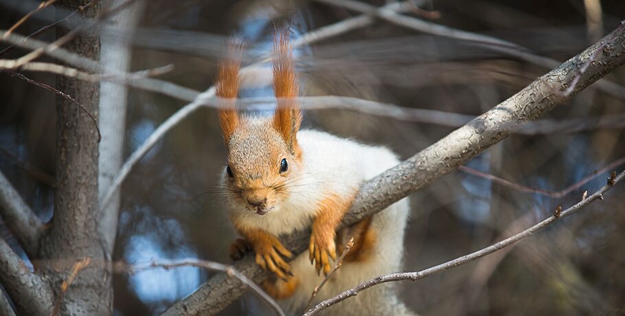 Погода не радует: снег и понижение температуры до -20