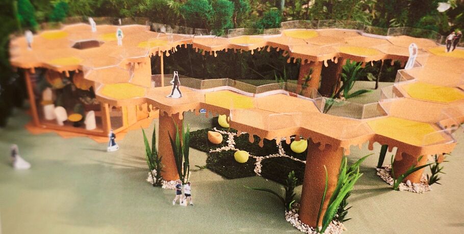 Мост на "Зелёном острове" или голубятня в парке 30-летия ВЛКСМ? Кто выиграл шанс на реализацию