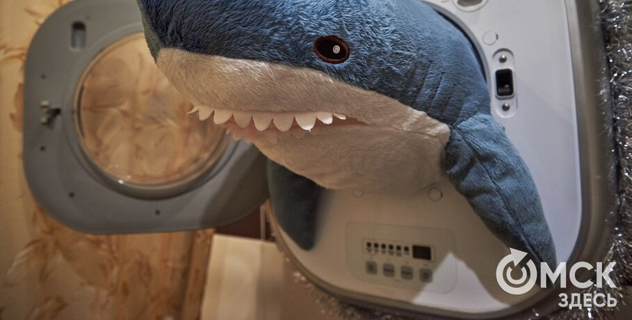 Омичи отстирывают проблемы: услуги прачечных становятся популярнее