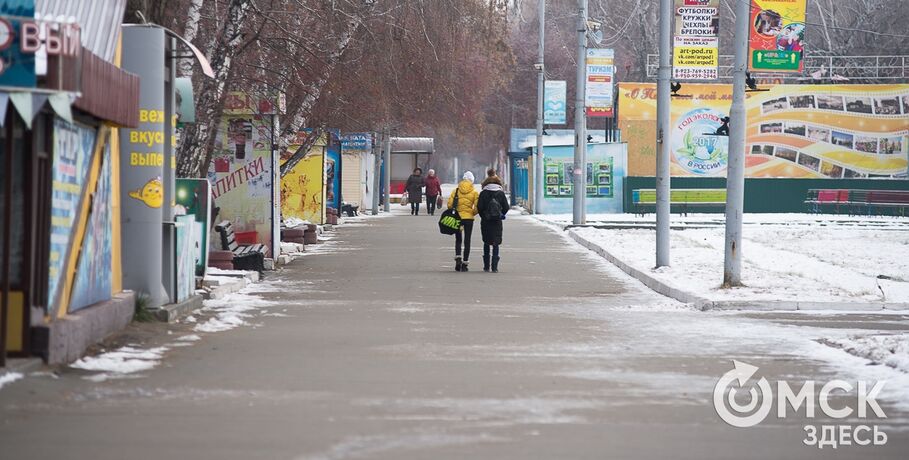 В омском парке заметили редкую птицу