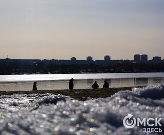 Зима в Омске завершится весенней погодой