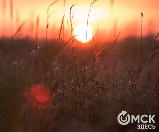 Степная редкость: охотинспекторы запечатлели игры ночных зверьков