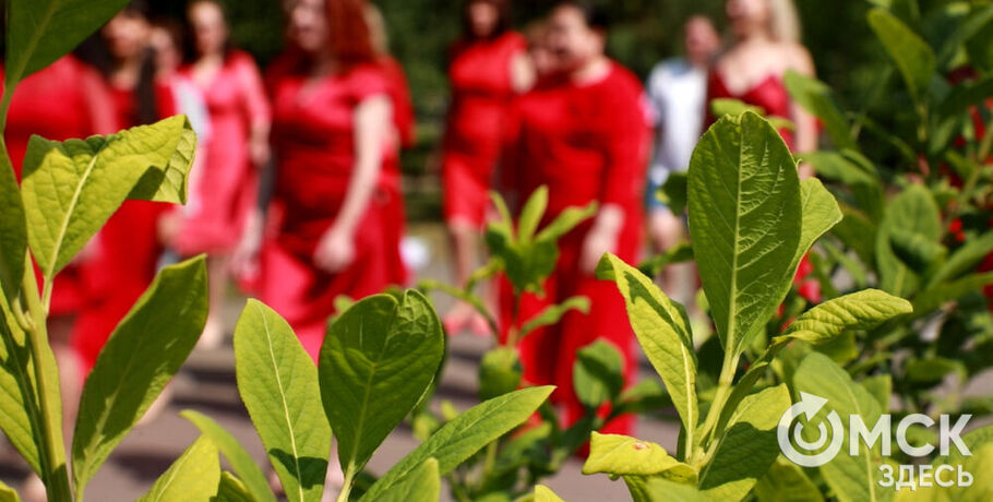 Цвет настроения красный. Омички готовятся к масштабному женственному флешмобу