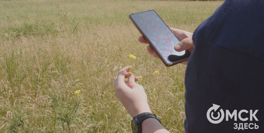 В "Птичьей гавани" устроили экологическую инвентаризацию