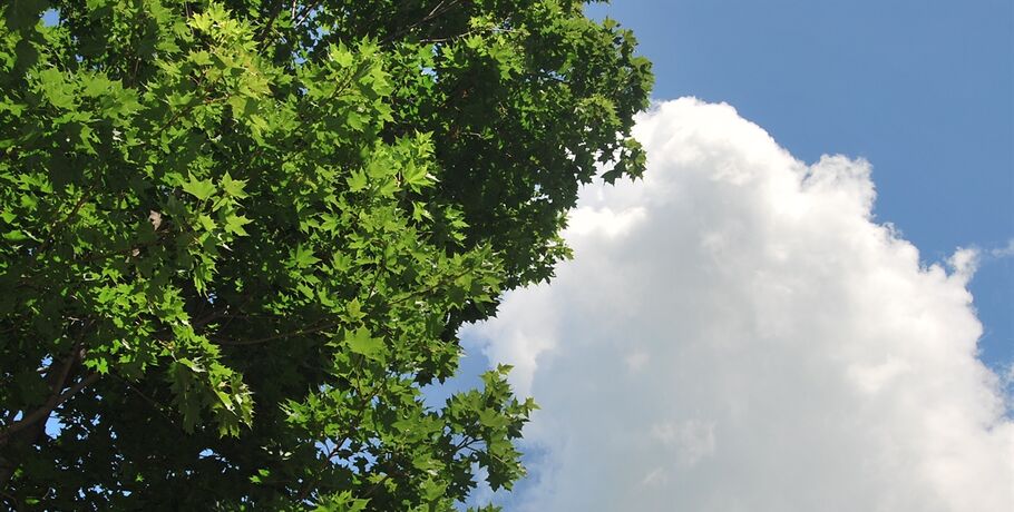 Солнечные обещания и дождевые сюрпризы: прогноз погоды для праздников в Омске