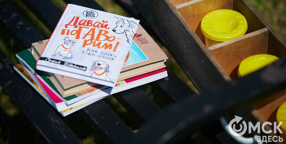 Про собак и про людей. В Омске открылся первый сибирский дог-френдли лагерь