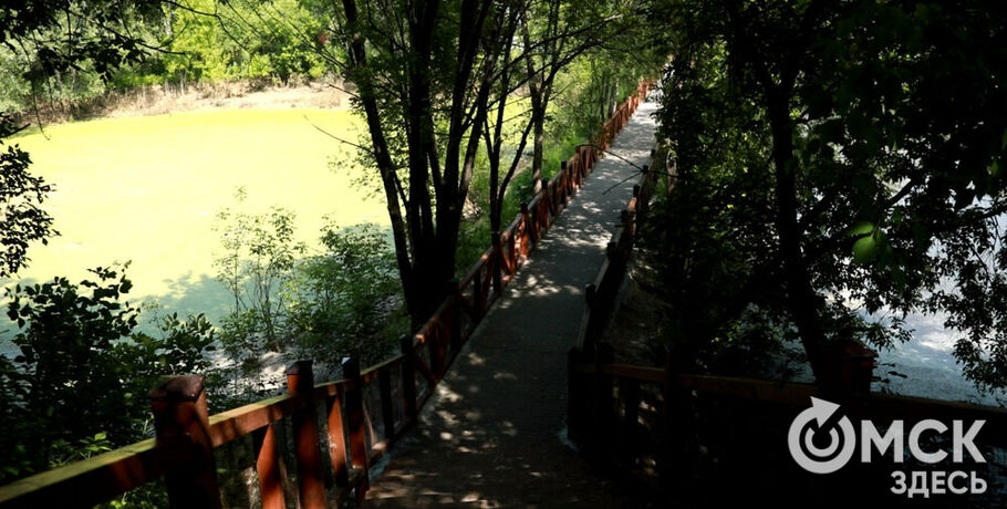 Любопытный, но осторожный. Сельский зоопарк в поисках имени для малыша-пони