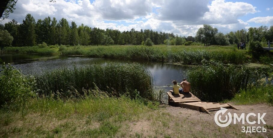 Холодные будни в Омске должны смениться тёплыми выходными