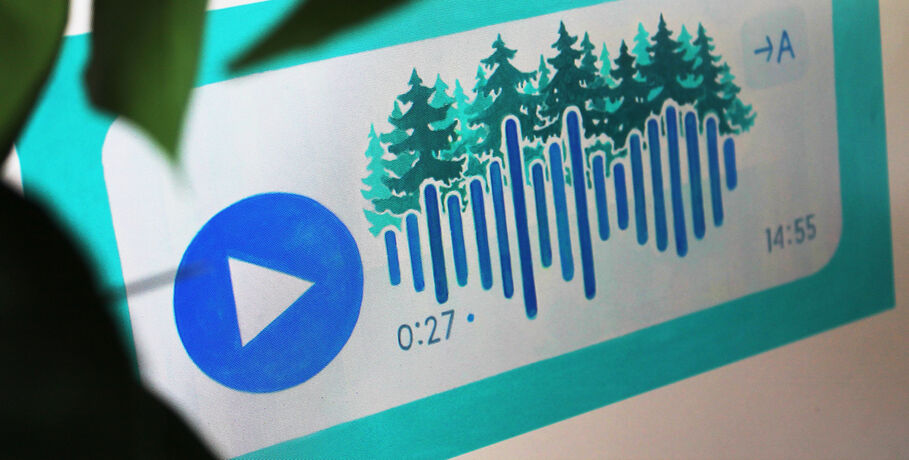 Слушай искусство. "Шум тайги" Дамира Муратова вошёл в топ столичного аукциона