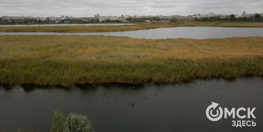 В "Птичьей гавани" конструируют новую смотровую площадку