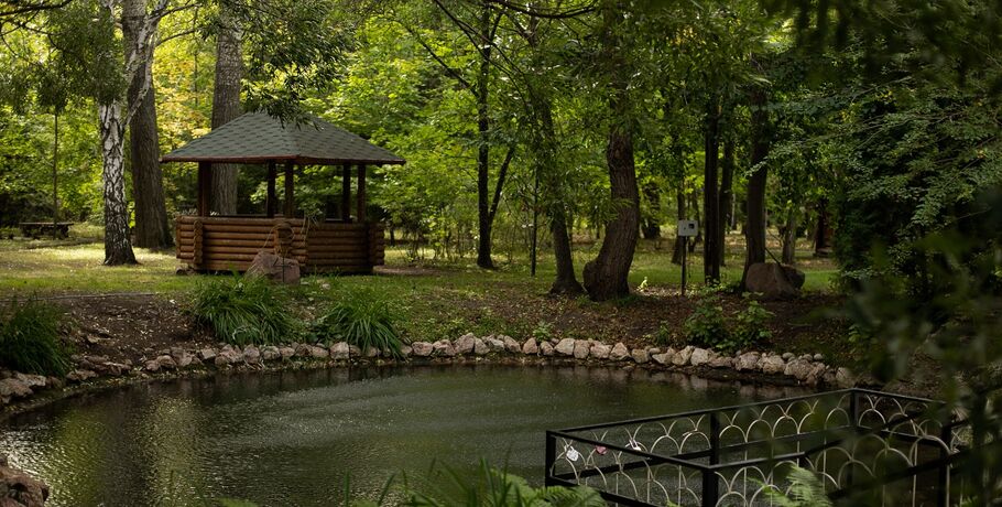 В омском Дендросаду покажет спектакль театр из Калачинска