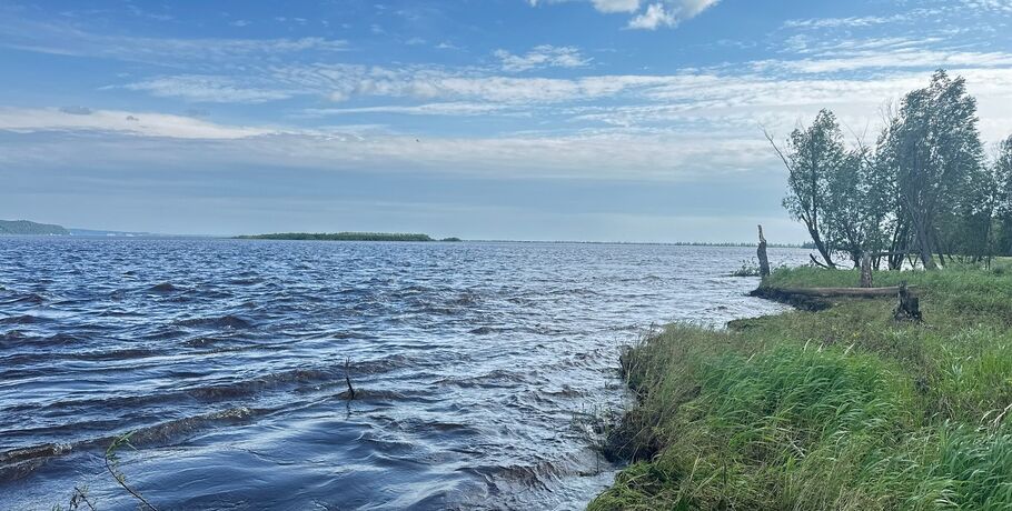 Обед на дереве и речная почта. Омич Сергей Лебединский завершает одиночную экспедицию на байдарке