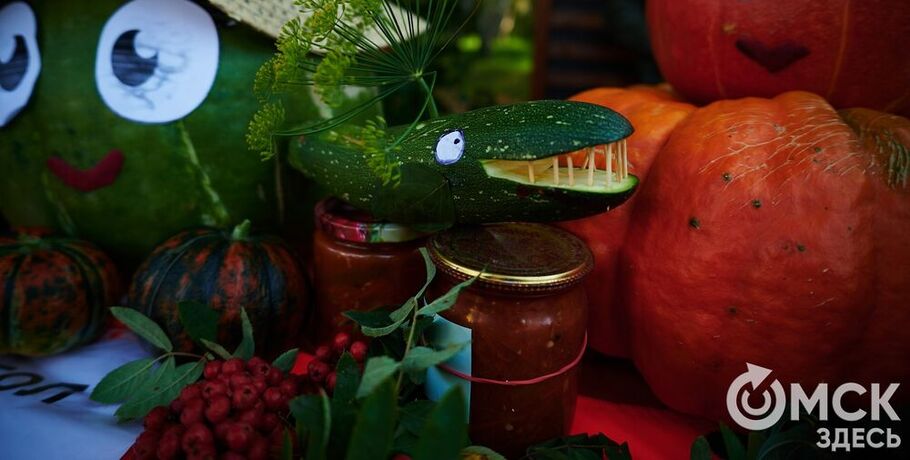 Кабачки не нужны? Излишки дачных мемов примет Большереченский зоопарк