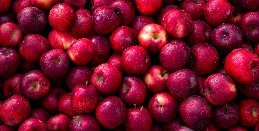 С хороводом и самоваром: омичей приглашают в этнопарк отметить Яблочный Спас