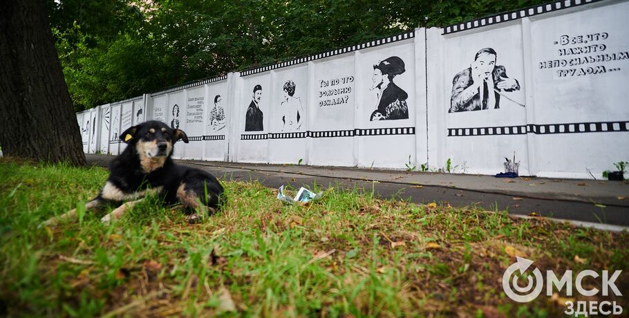 Кадры ностальгии: новые арт-объекты у омского "Киновидеоцентра"