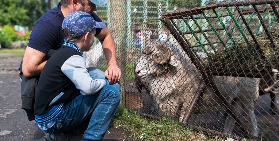 В Большереченском зоопарке поселятся новички из Аргентины и Мадагаскара