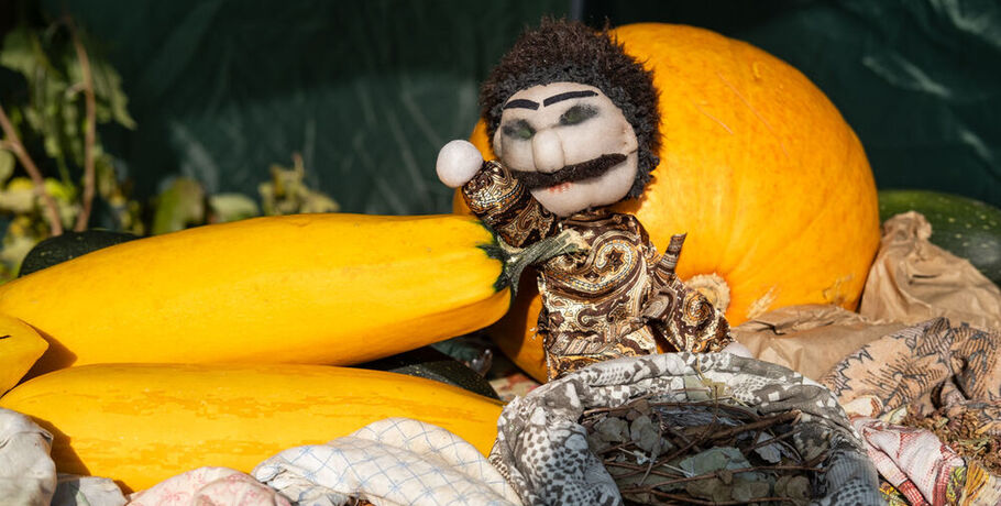 Омская крепость готовится к масштабному празднику осеннего урожая