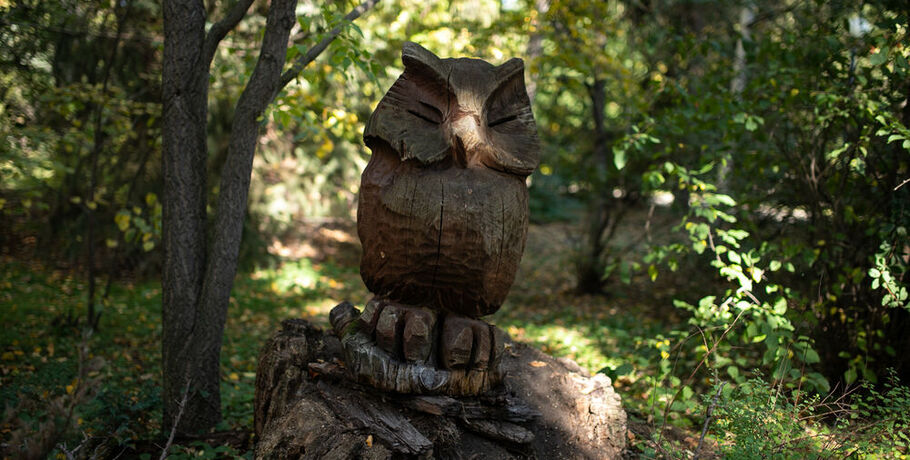 В омском дендросаду стартуют противопростудные экскурсии