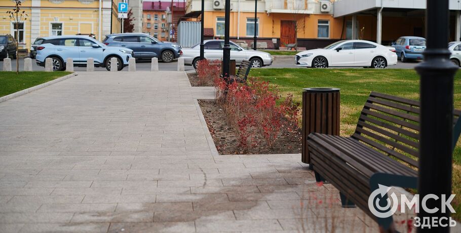 Тернистый путь. Для будущих учителей Омска попросили немного благоустройства