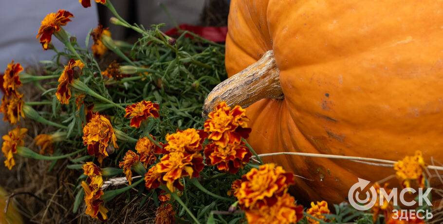 Щи, саламат, юшка: омичи попробовали историю региона на вкус