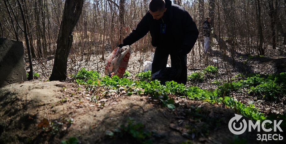 Берёзовая роща у Иртыша станет чище силами волонтёров