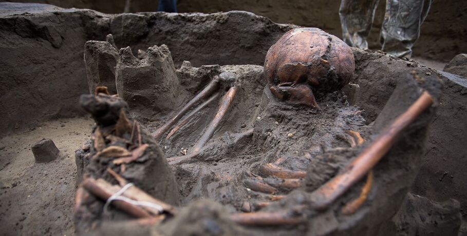 "Раскапываемся" в древностях: археолог Борис Коников расскажет об омских сокровищах