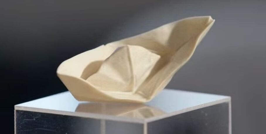 От "бумажных" корабликов до "портретов". Костореза из Омска признали новатором