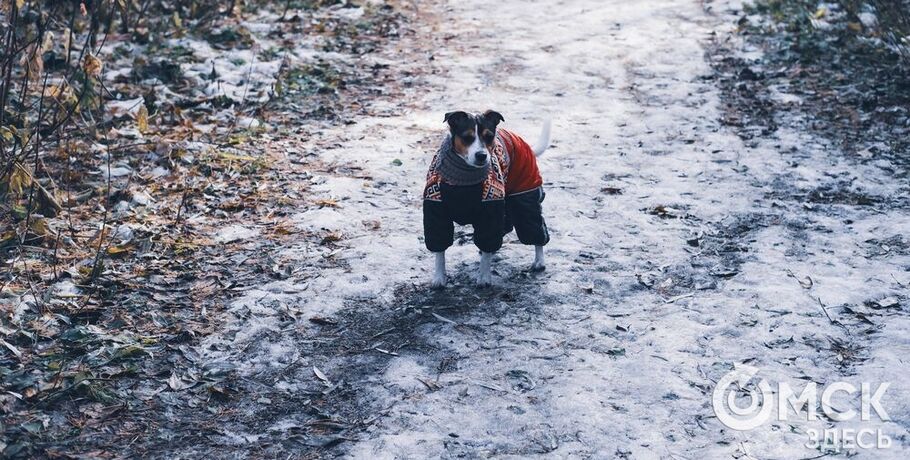 Октябрь закончится нетипичным теплом