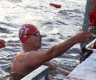 В Иртыш вернулись моржи