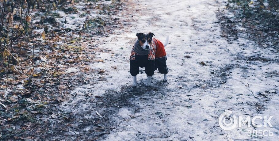 Капризы погоды: перепад температуры в 22 градуса и снег с дождём