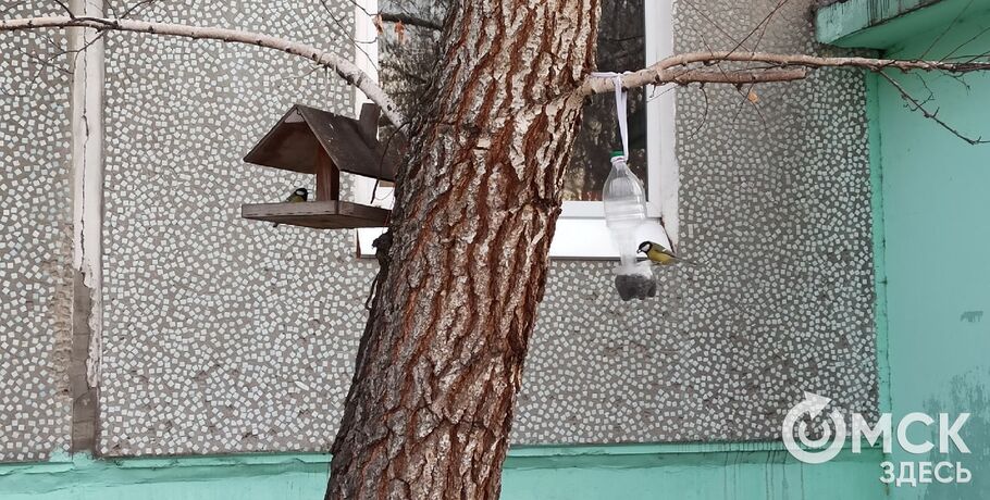 Работники Омского зоопарка рассказали, как угодить привередливым птицам зимой 