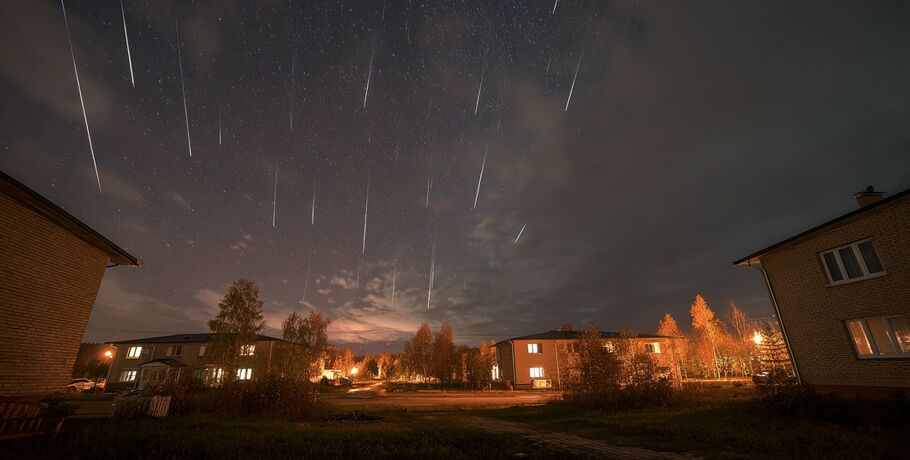 Падающие огоньки ноября. Ночь над Омском обещает быть "звёздной"