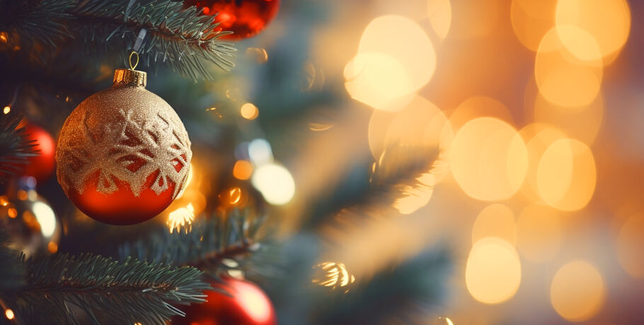 Дед Мороз и песни Шатунова. Волонтёры подарят праздник ребятам из адаптивной школы