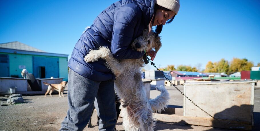 Не просто прогулка: как человеческое внимание помогает животным в приютах