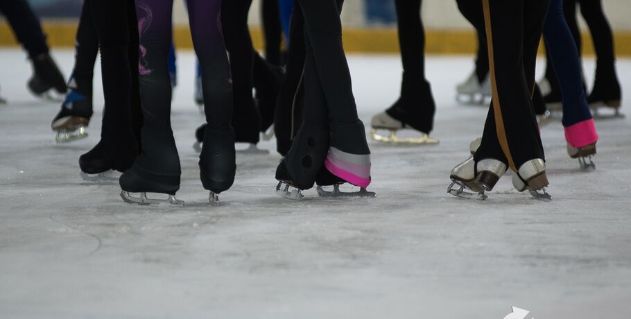 "Птичья гавань" примет омичей с коньками и лыжами