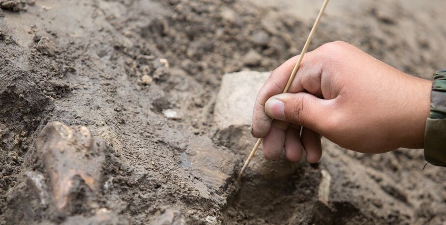 Археология может стать туристической фишкой Омской области