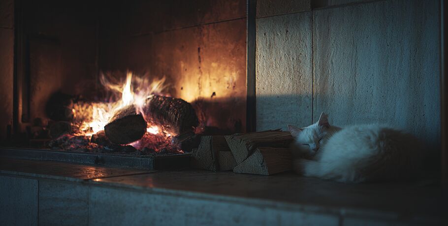 "Треск дров и мурчание кота". Дед Мороз из Великого Устюга поделился рецептом от выгорания