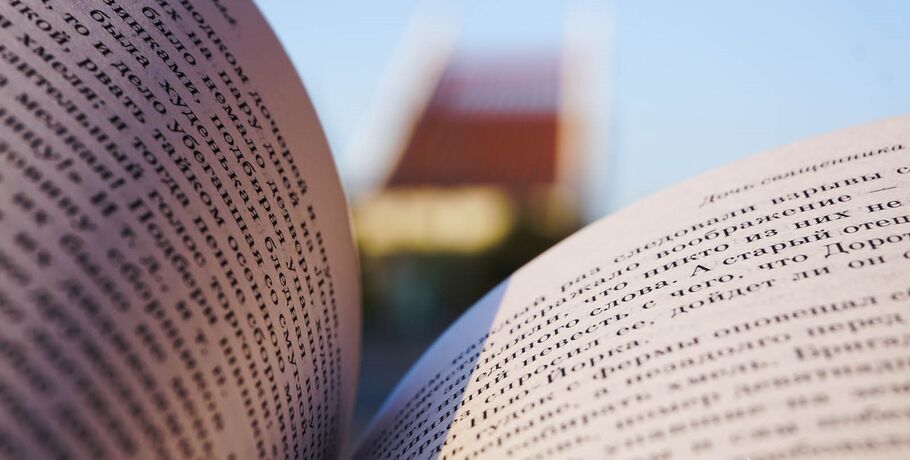 Книжные клубы Омска рекомендуют: что почитать и подарить в последний месяц года