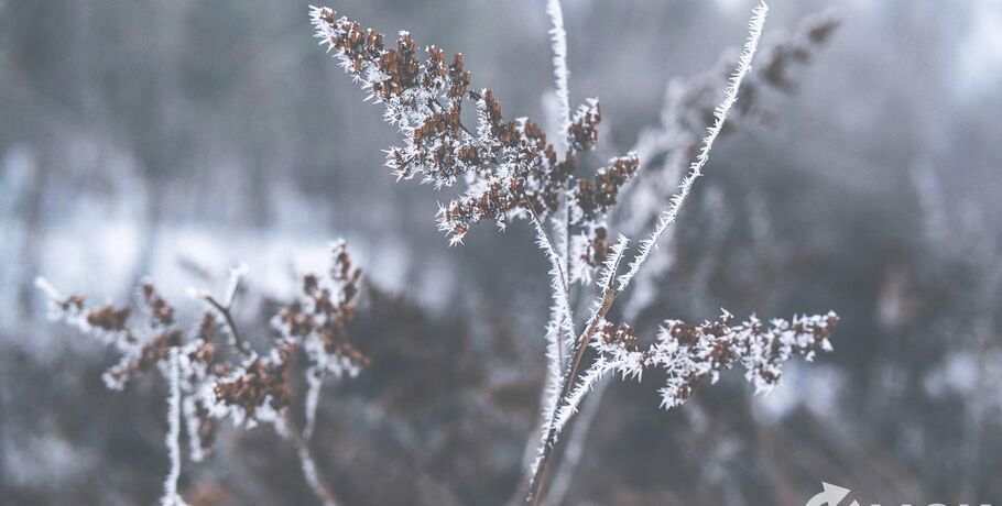 Зима стала короче: 2025 год близок к температурному рекорду