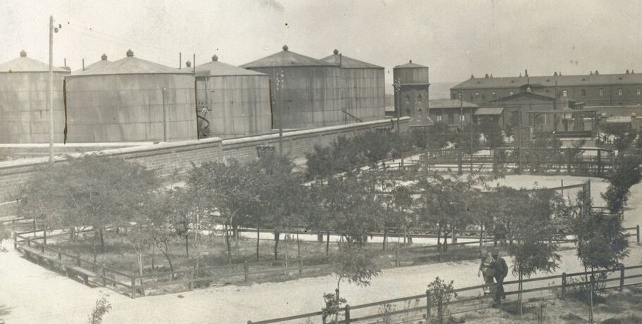 Подзабытые истории. Как улица на окраине Омска связана с Нобелевской премией 